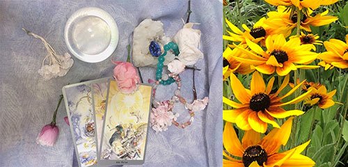 占い師セレナのお気に入り写真2